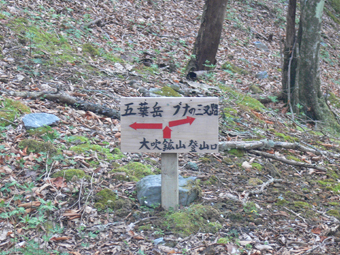 分岐点