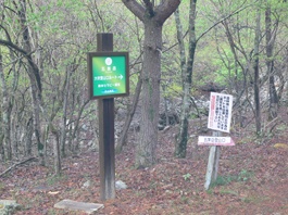 登山口