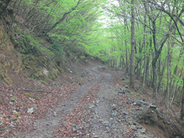 登山道