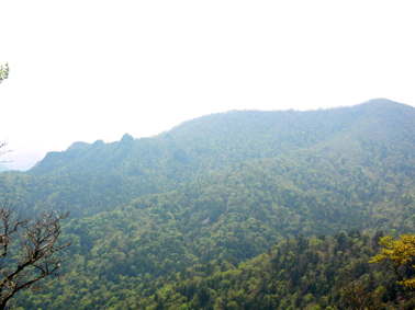大崩山