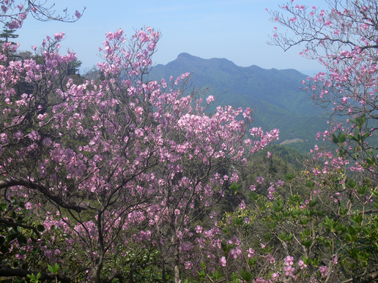 傾山