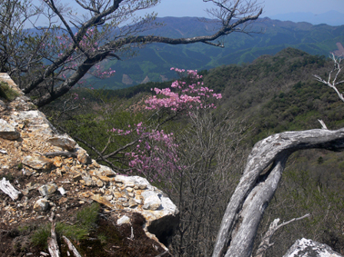 山頂