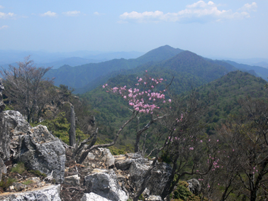 山頂
