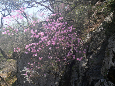 山頂