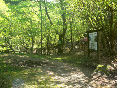 登山口