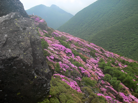 山頂