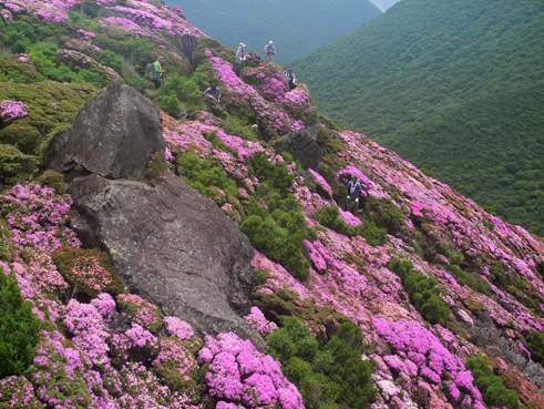 山頂