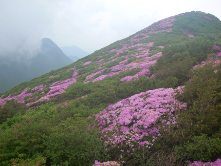 深山