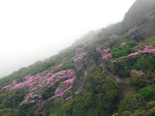 平治岳