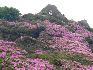 平治岳南峰