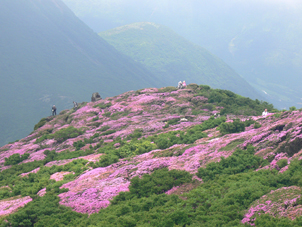 平治岳