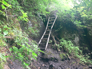 登山道