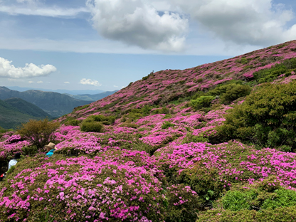 平治岳