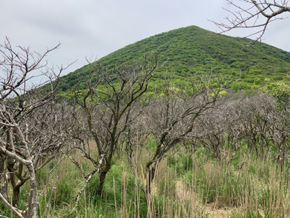 登山道