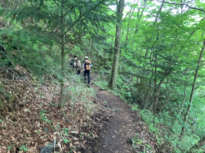 登山道