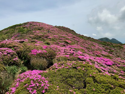 平治岳