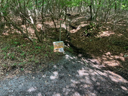登山道