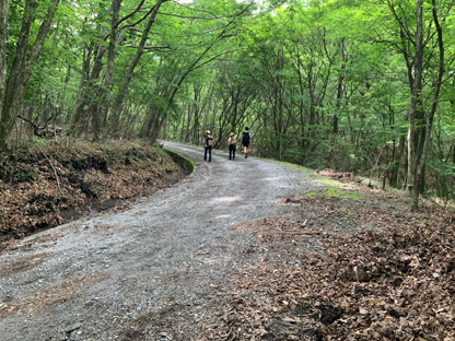 登山道