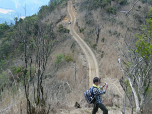 登山道