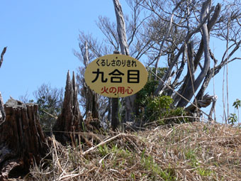 登山道