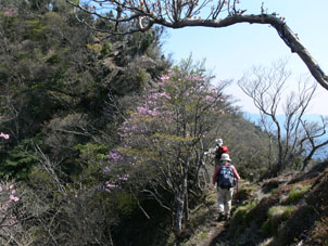 登山道