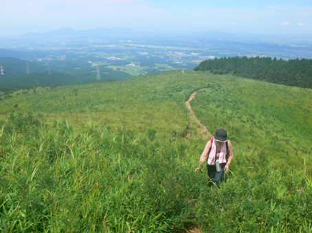 登山道