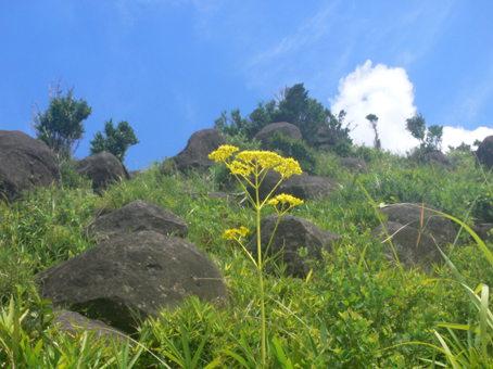 山頂