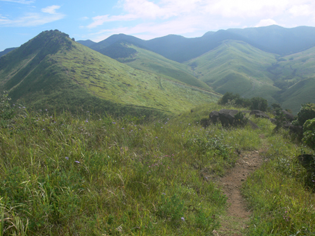 登山道
