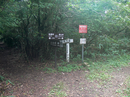 登山道