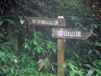 分岐点
