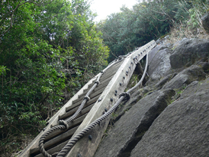 登山道