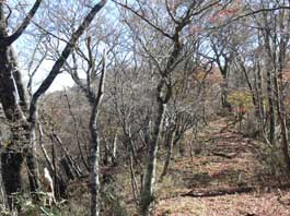 尾根道