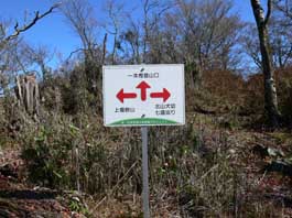 分岐点