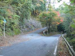 分岐点