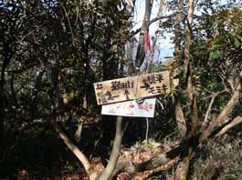 分岐点