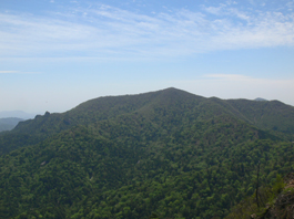 山頂