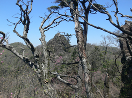 岩峰