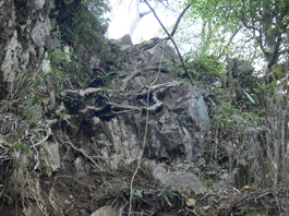 岩場