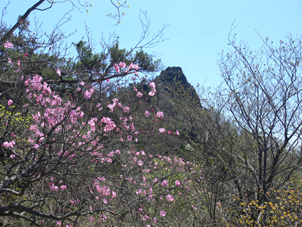 鹿納山