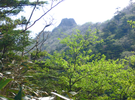 登山道