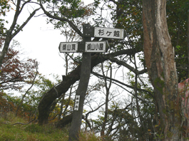 分岐点