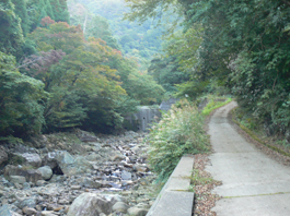 登山道