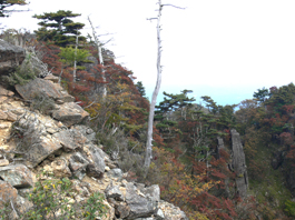 傾山