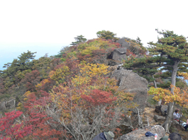 傾山