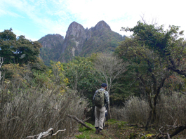 傾山