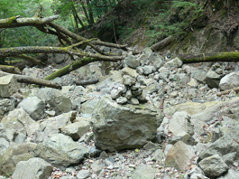 登山道