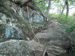登山道