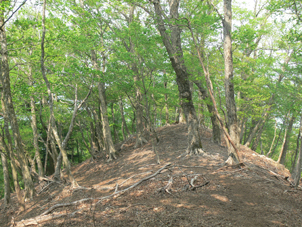 尾根