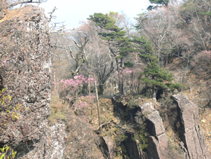 山頂付近