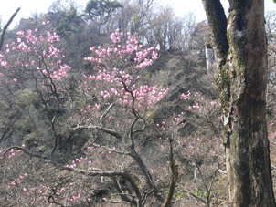 山頂付近